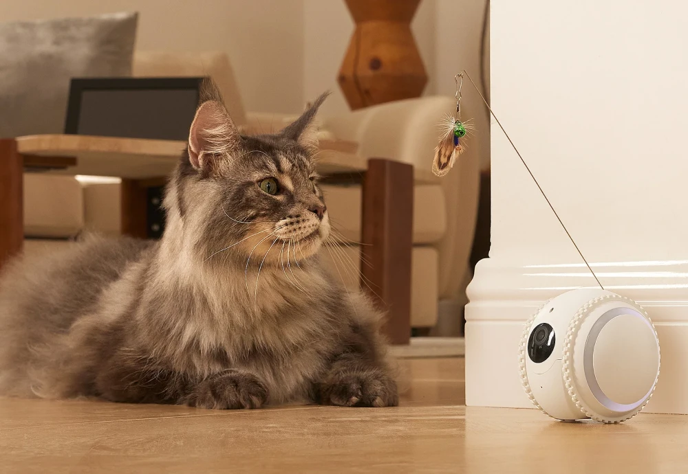 pet camera robot