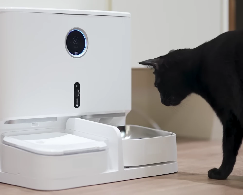 automatic water feeder for dogs